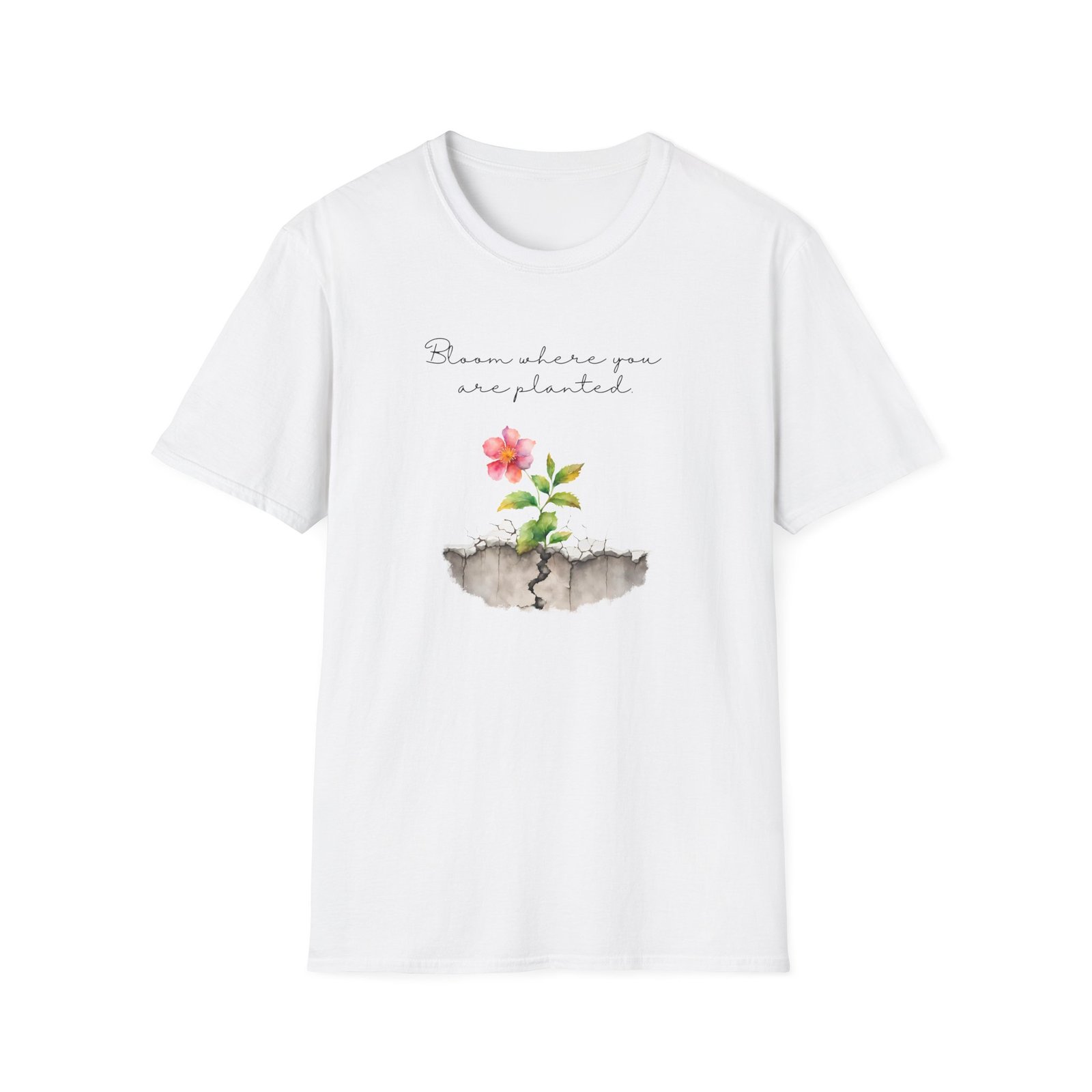 Bloom Where You Are Planted - Image 3