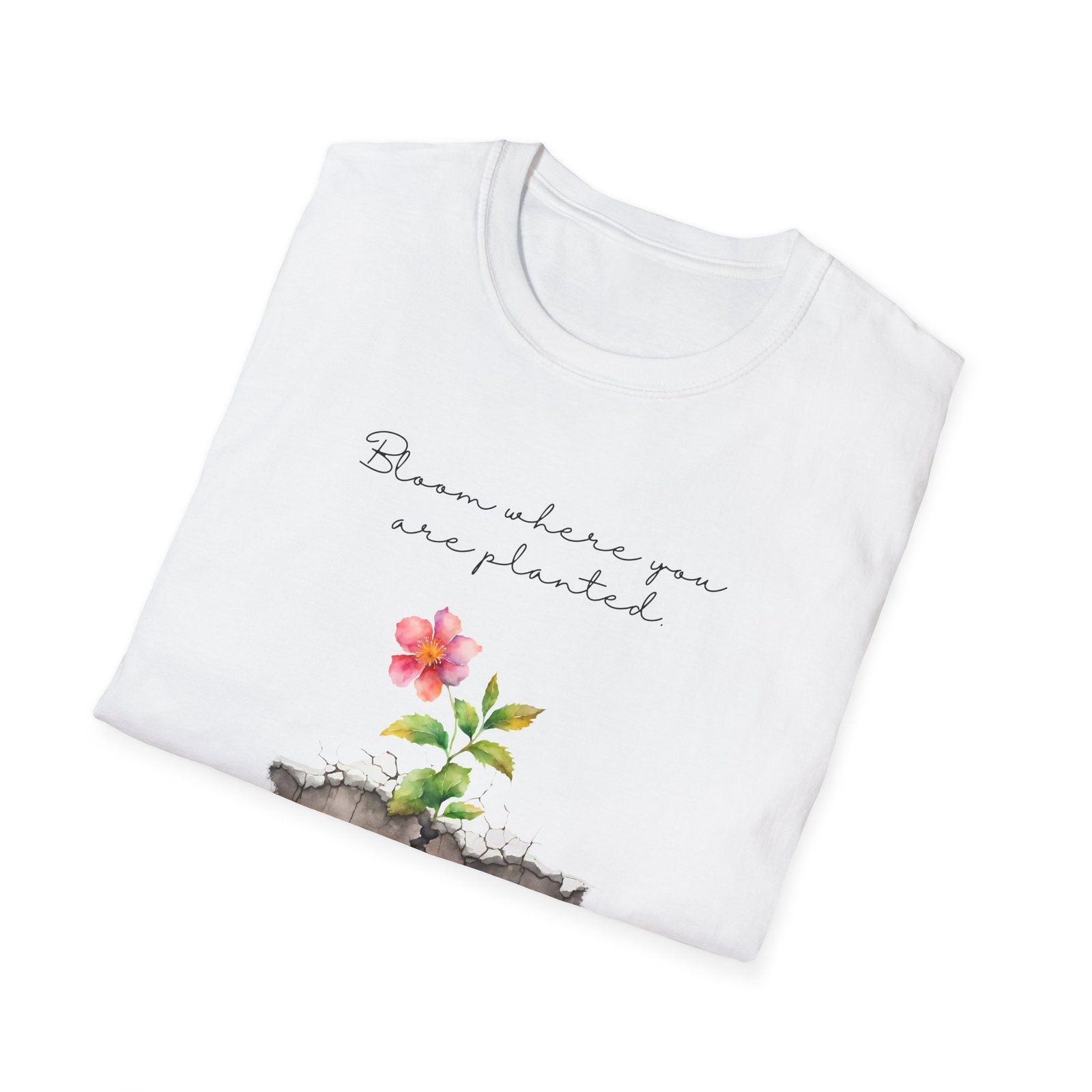 Bloom Where You Are Planted - Image 4